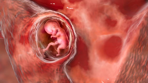Kürtaj Öncesi Nasıl Bir Yol İzlenmeli