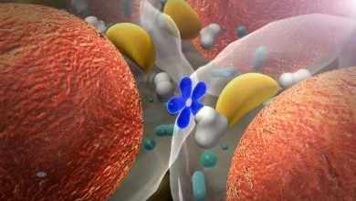 Hormonal Bozukluk Nedir?