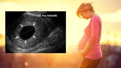 boş gebelik nedir