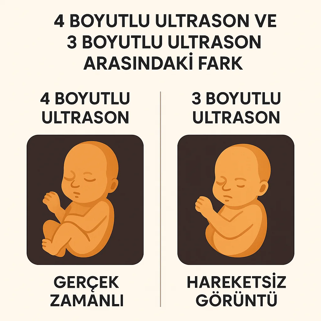 4 Boyutlu Ultrason Nedir? 3 4 boyutlu ve 3 boyutlu ultrason arasindaki fark